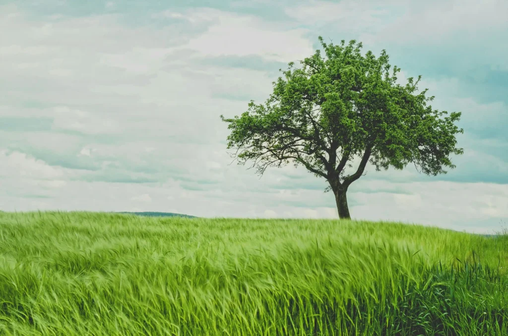 Natural Refrigerants